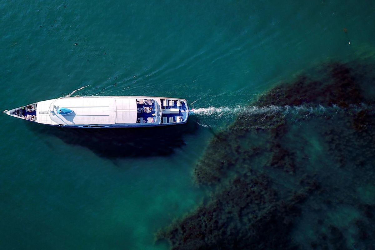 luxury beachfront villa